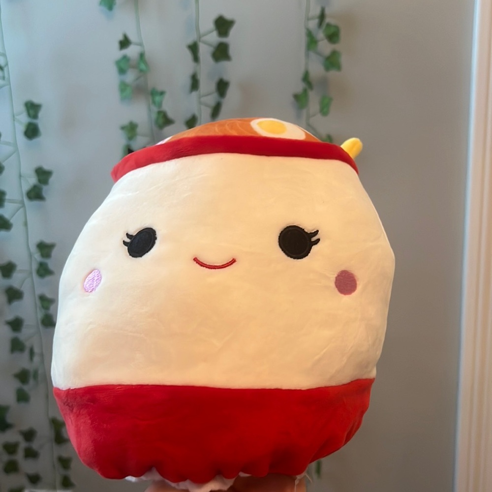 Raisy and shun flips le squishmallow